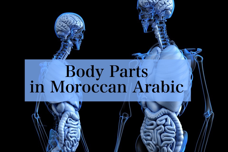 Learn Moroccan Arabic Online - SpeakMoroccan.com