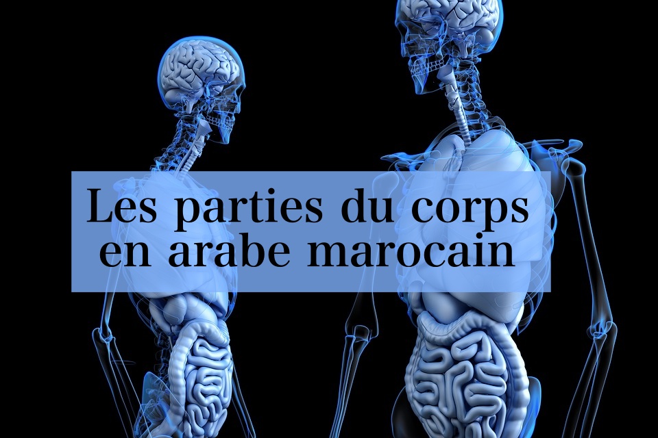 Apprendre la darija marocaine avec SpeakMoroccan.com